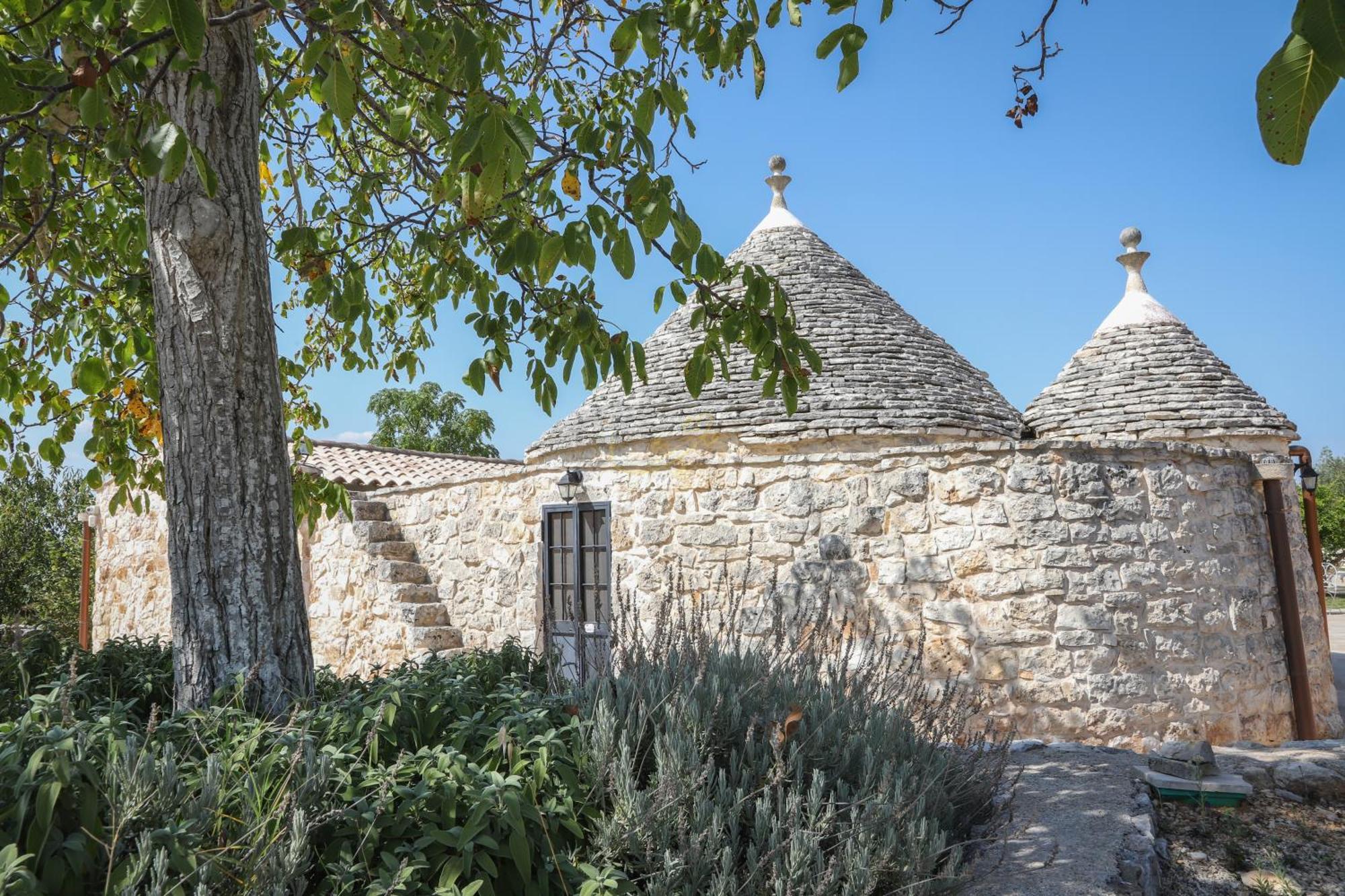 Td Trulli Della Lama Private Trulli With Pool Castellana Grotte Dış mekan fotoğraf